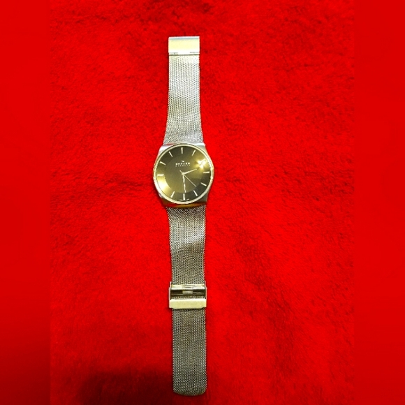 Men\'s Skagen watch